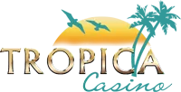 site logo